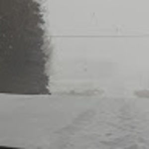 Meet your Posher, Lilliy